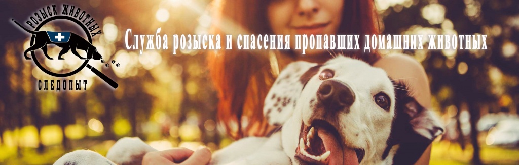 Поиск пропавших животных Поиск пропавших животных