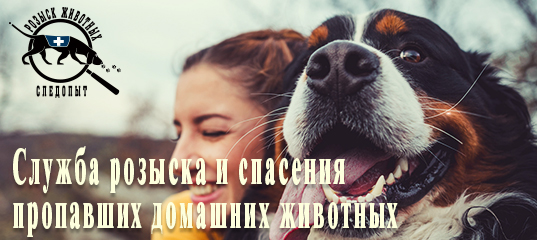 Поиск пропавших животных Поиск пропавших животных