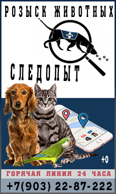 Розыск пропавших животных Розыск пропавших животных