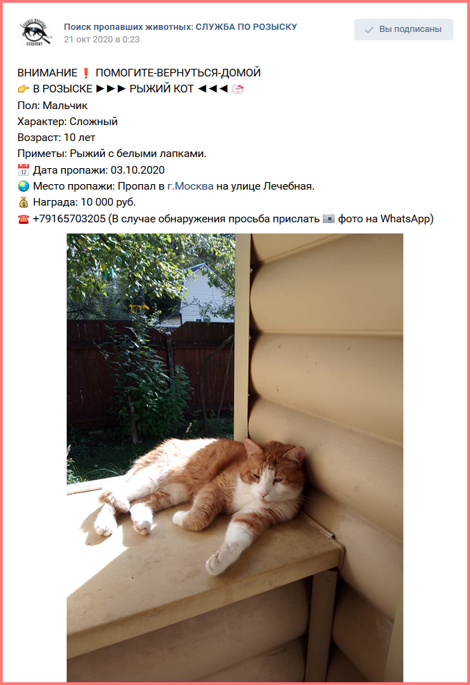 Screenshot_2020-10-27 Поиск пропавших животных СЛУЖБА ПО РОЗЫСКУ(2).jpg Screenshot_2020-10-27 Поиск пропавших животных СЛУЖБА ПО РОЗЫСКУ(2).jpg