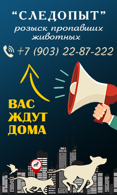 Поиск-пропавших-животных Поиск-пропавших-животных