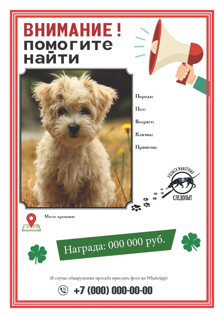 Печать объявлений о пропаже собаки кошки