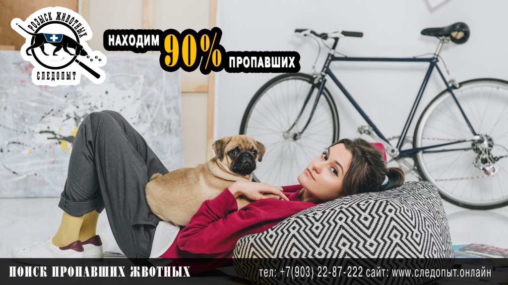 Поиск пропавших животных Поиск пропавших животных