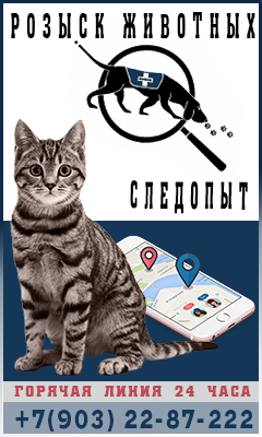 Розыск пропавших животных Розыск пропавших животных