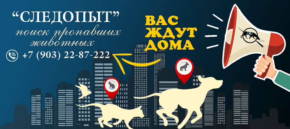 Поиск пропавших животных Поиск пропавших животных