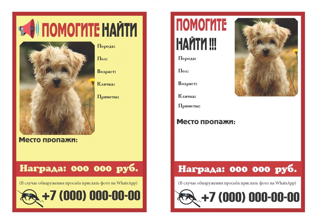 Поиск пропавших животных
