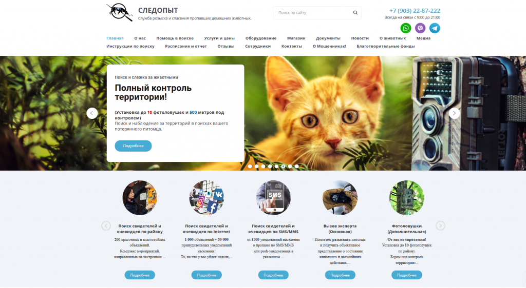 Поиск пропавших животных