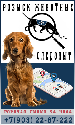 Розыск пропавших животных Розыск пропавших животных