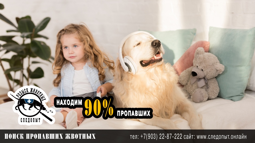 Поиск пропавших животных Поиск пропавших животных