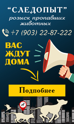 Поиск-пропавших-животных.jpg Поиск-пропавших-животных.jpg