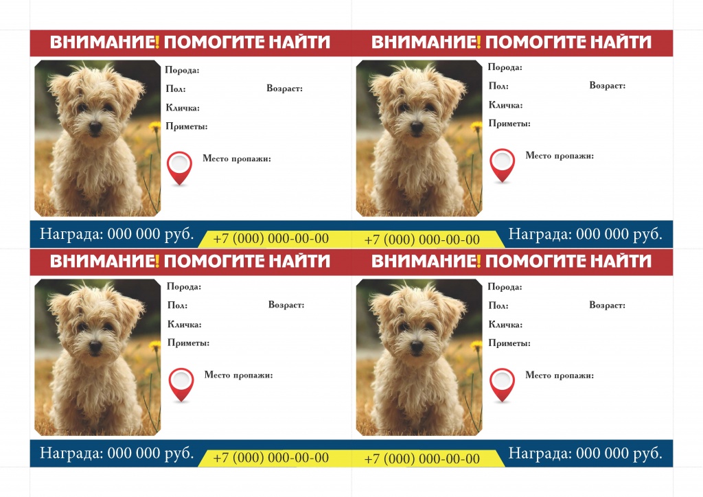 Пропавшие животные