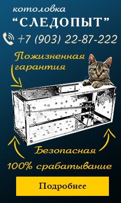 Котоловка Котоловка