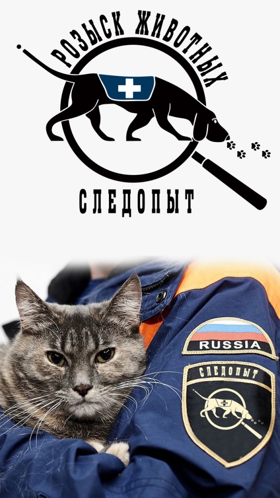 Поиск пропавших животных Поиск пропавших животных
