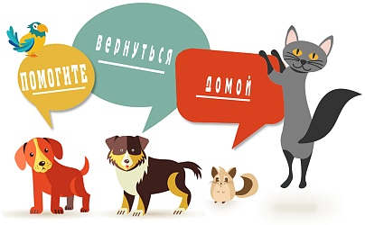 Поиск свидетелей и очевидцев по району (Основная)
